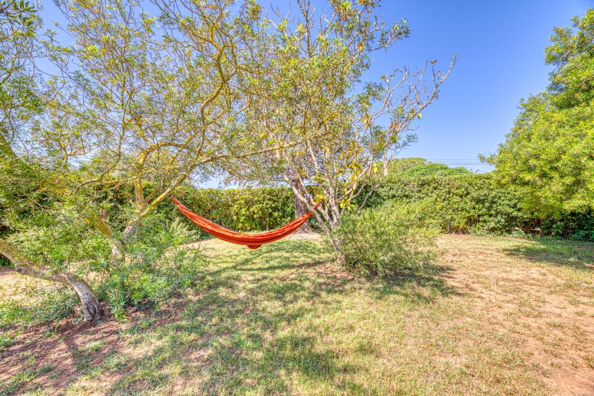Kentia Mallorca, Charming And Stylish Close To Palma di Maiorca