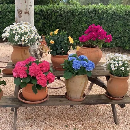 Villa Kentia Mallorca, Charming And Stylish Country House Close To Palma Exterior foto